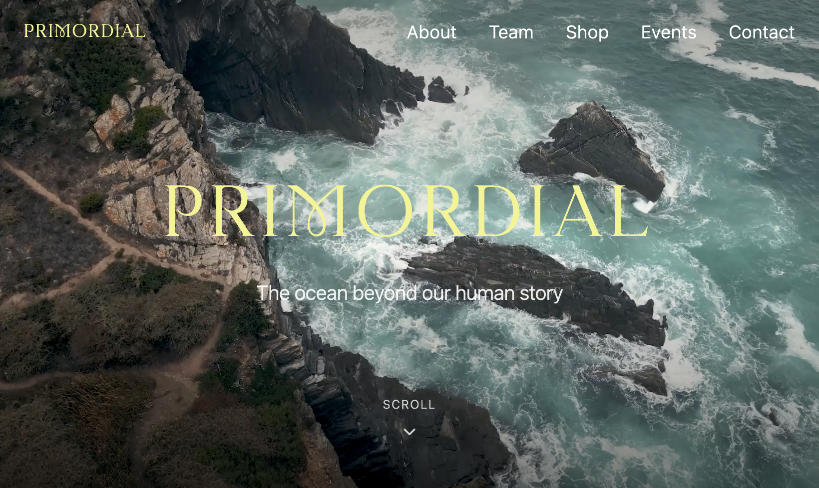 Primordial project thumbnail